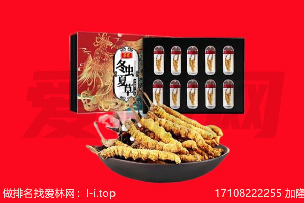 湘西花垣县回收虫草.jpg